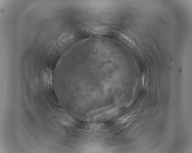X0000088571251200706081049