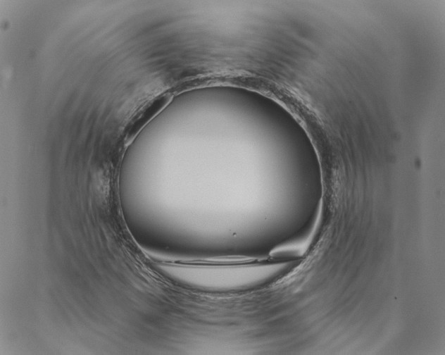 X0000088571257200706081049