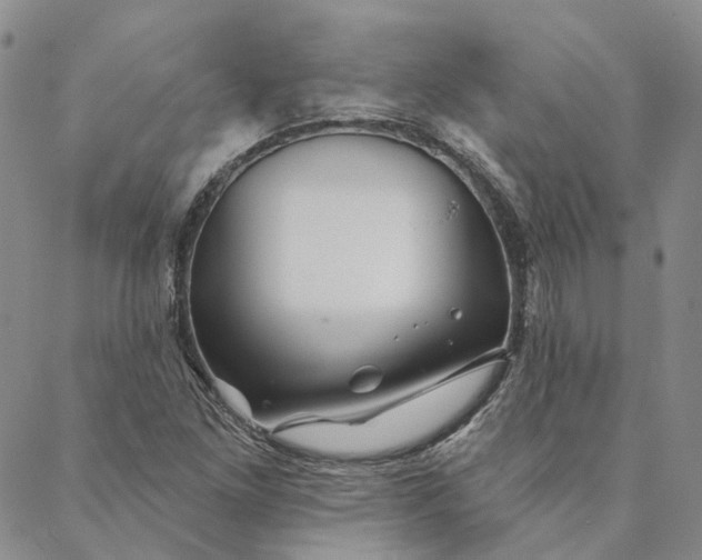 X0000088571261200706081049