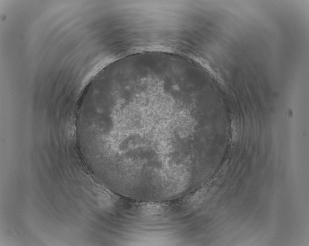 X0000088571266200706081049