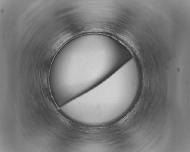 X0000088571273200706081049