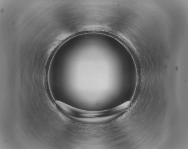 X0000088571277200706081049