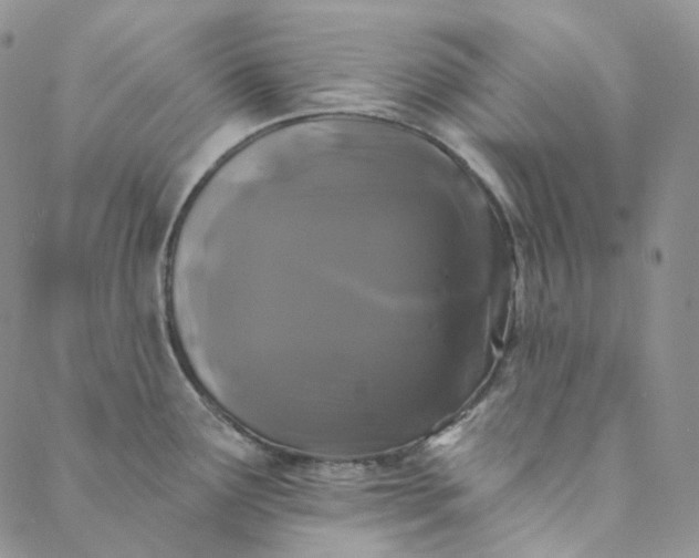 X0000088571291200706081049
