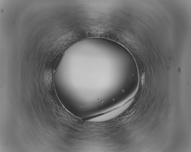 X0000088571299200706081048