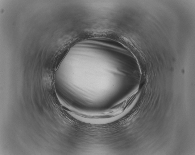 X0000088571300200706081048