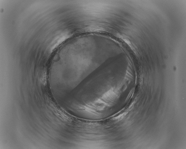 X0000088571306200706081048