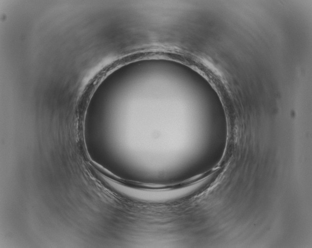 X0000088571310200706081048