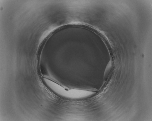X0000088571319200706081048