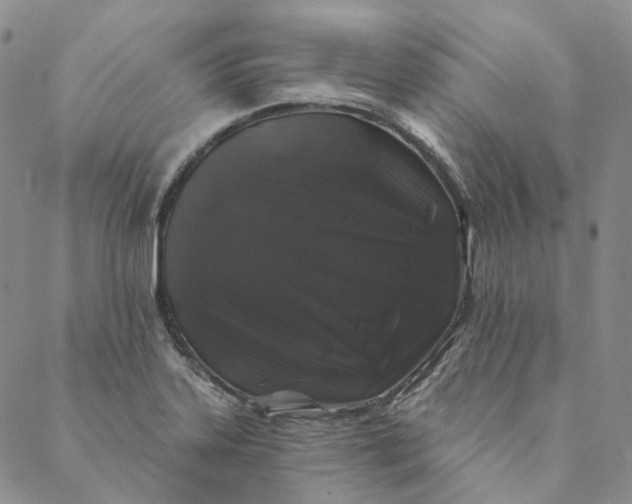 X0000088571323200706081048