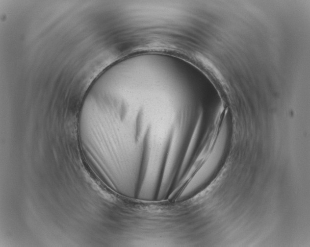 X0000088571329200706081048
