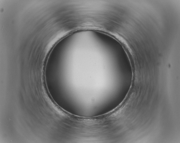 X0000088571333200706081048