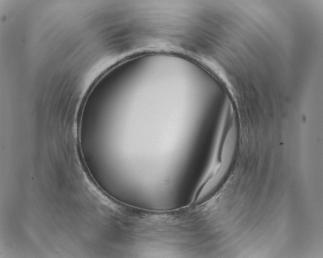 X0000088571335200706081048