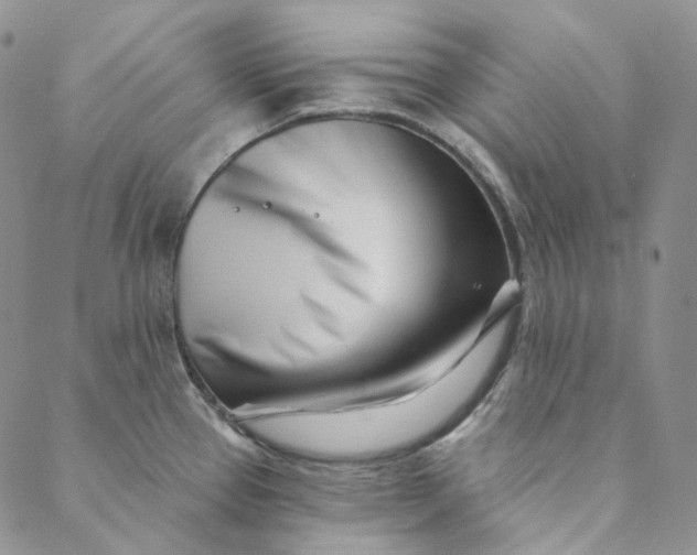X0000088571337200706081048