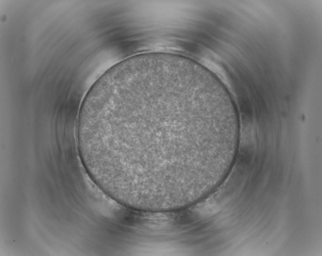 X0000088571338200706081048