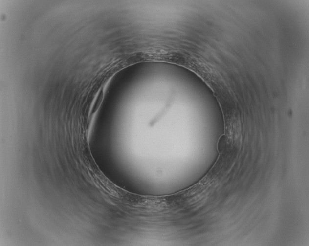 X0000088571346200706081048