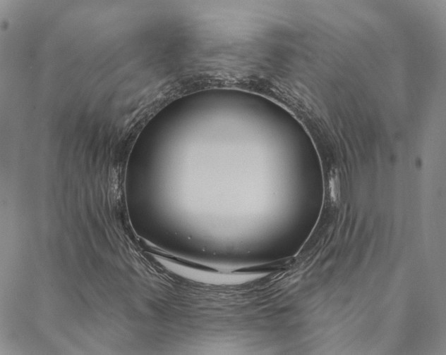 X0000088571347200706081048