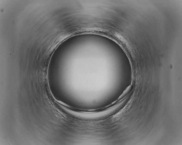 X0000088571361200706081047
