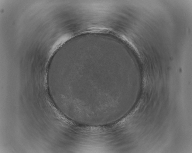 X0000088571362200706081047