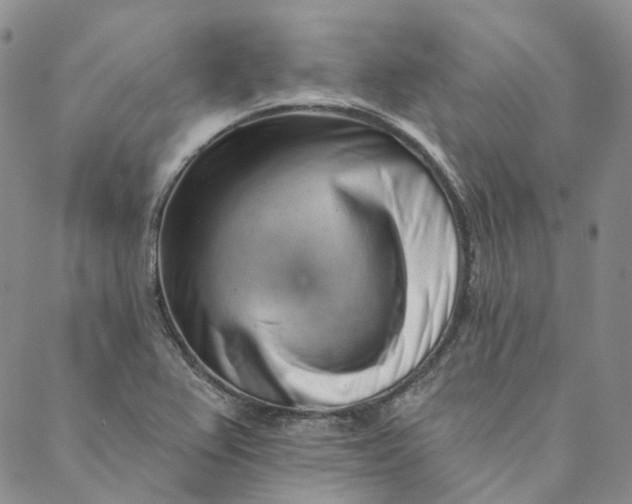 X0000088571367200706081047