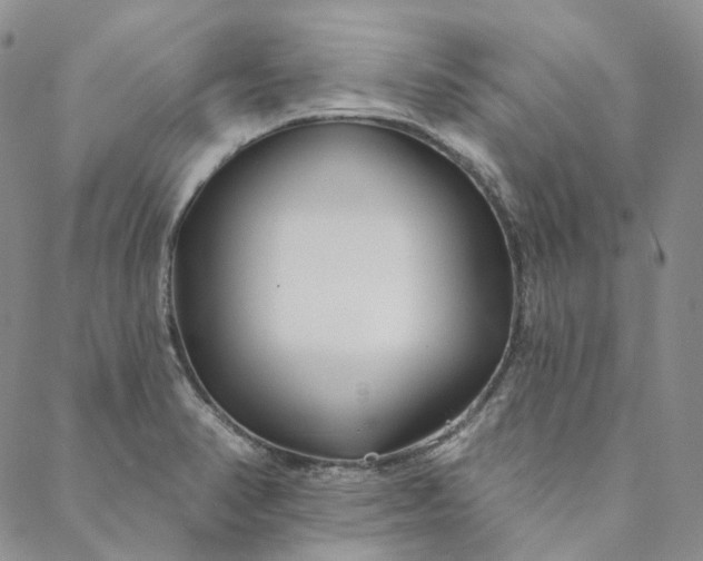 X0000088571374200706081047