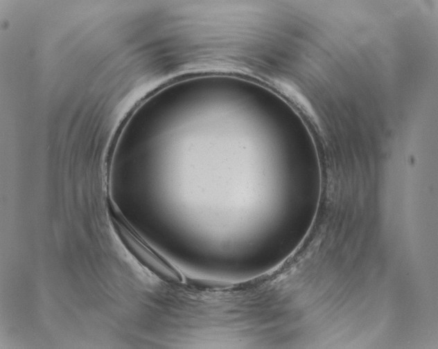 X0000088571380200706081047