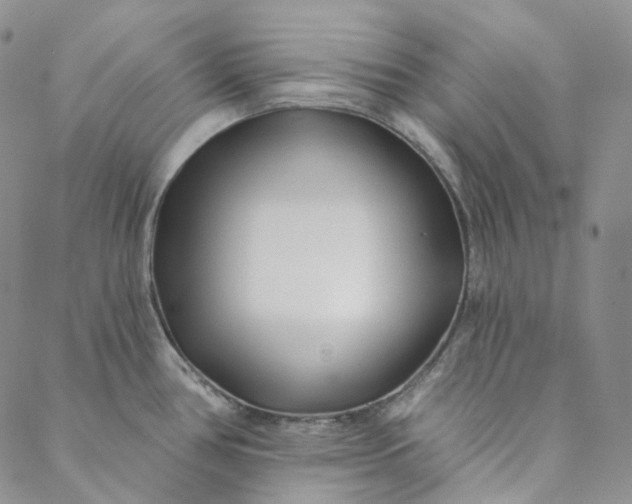 X0000088571386200706081047
