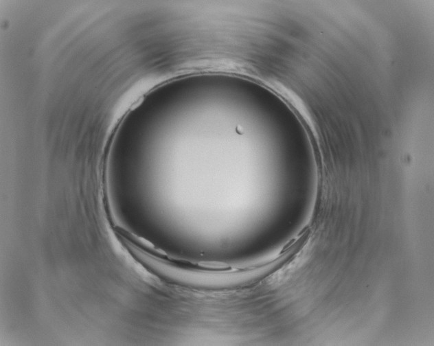 X0000088571389200706081047