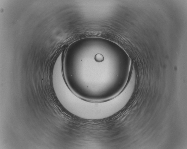 X0000088571394200706081046