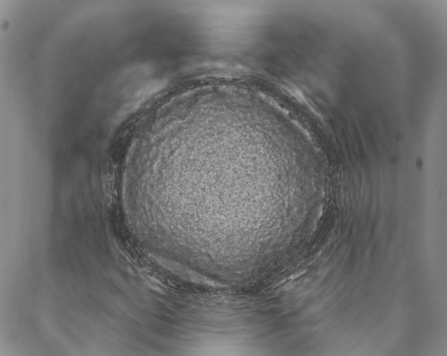 X0000088571399200706081046