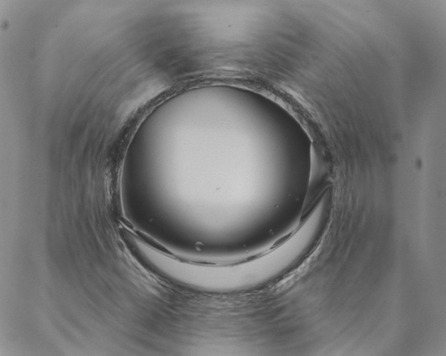 X0000088571402200706081046