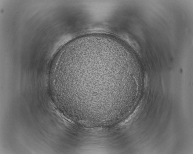 X0000088571405200706081046