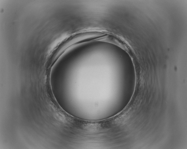 X0000088571406200706081046