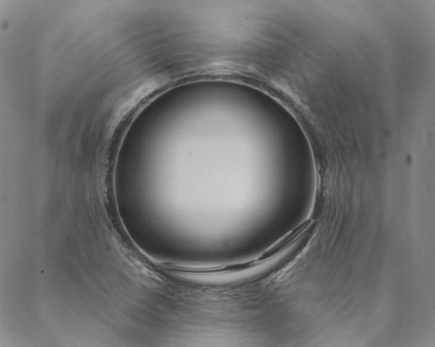 X0000088571410200706081046