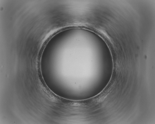 X0000088571412200706081046