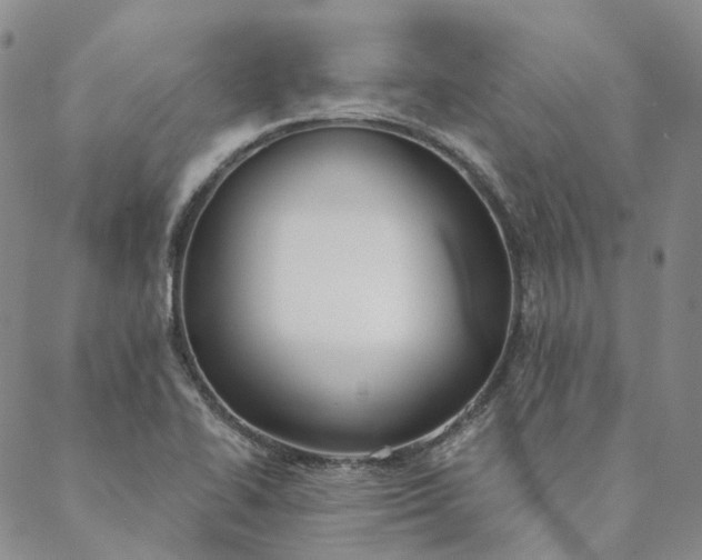 X0000088571414200706081046