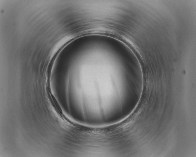 X0000088571418200706081047