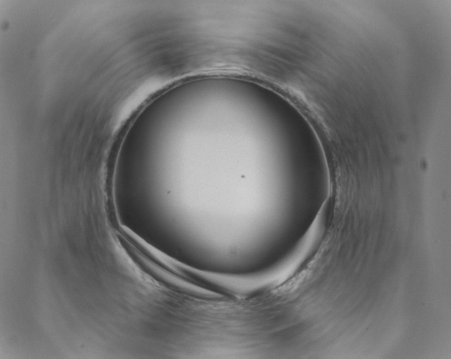 X0000088571422200706081047