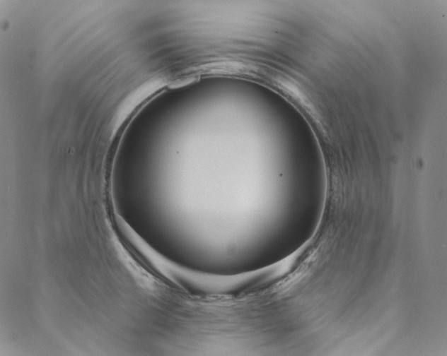 X0000088571426200706081047
