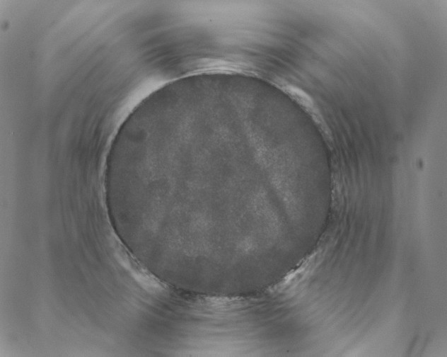 X0000088571427200706081047