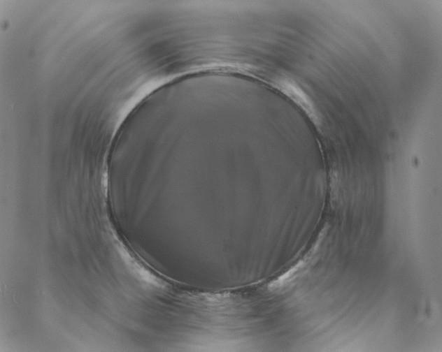 X0000088571428200706081047