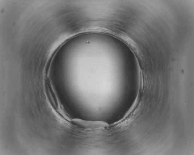 X0000088571430200706081047
