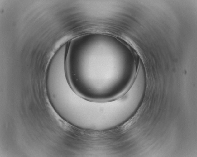 X0000088571434200706081047