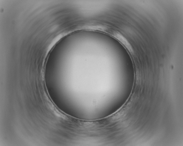 X0000088571436200706081047