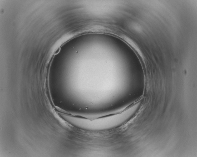 X0000088571437200706081047