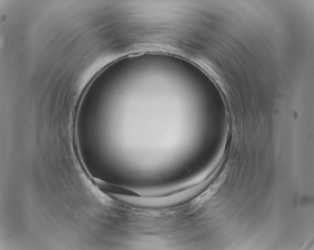 X0000088571438200706081047