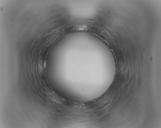 X0000088571442200706081046