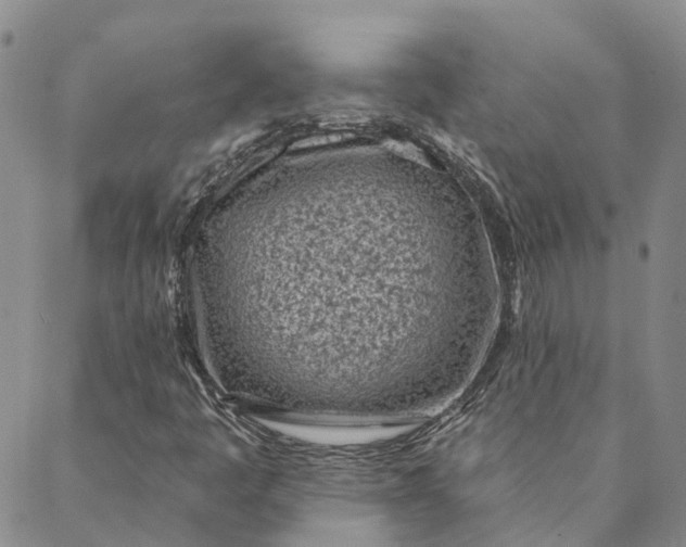 X0000088571445200706081046