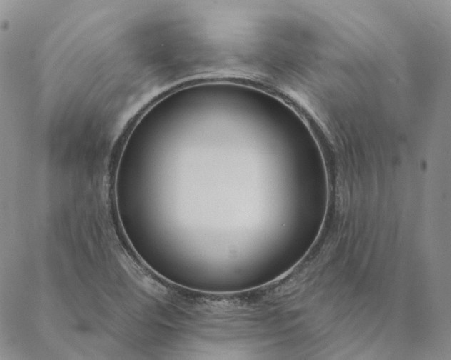 X0000088571460200706081046