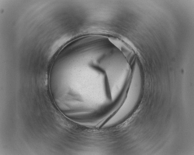 X0000088571461200706081046