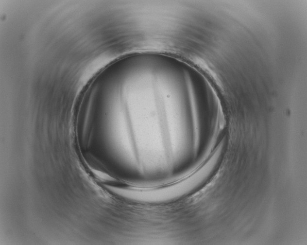 X0000088571469200706081046